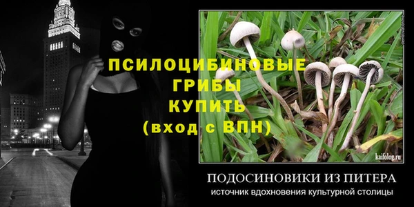 apvp Баксан